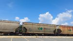 CNPX 001053
